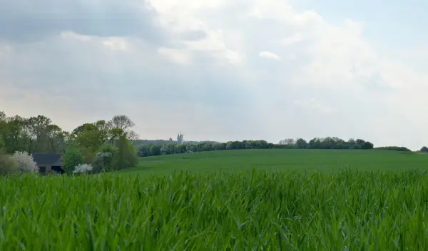 Landscape 4585051 1280